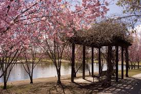lake balboa los angeles